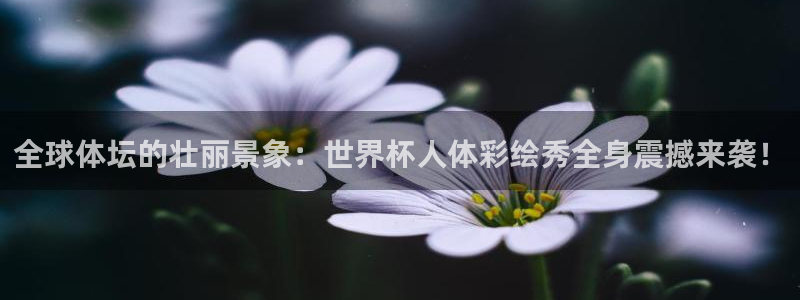 世界杯欧洲区预选赛：全球体坛的壮丽景象：世界杯人体彩绘秀全身震撼来袭！