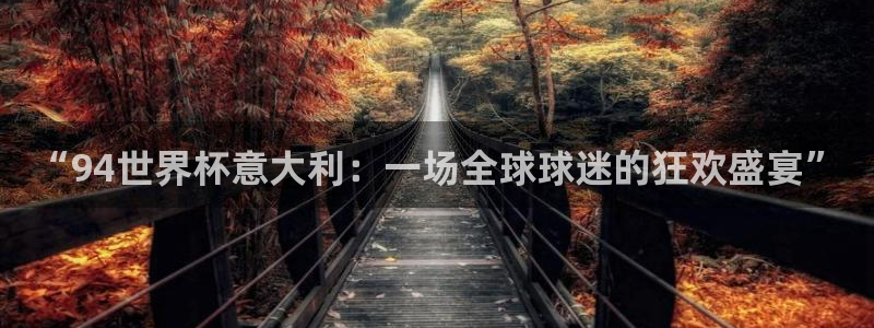 足球比分直播世界杯：“94世界杯意大利：一场全球球迷的狂欢盛宴”