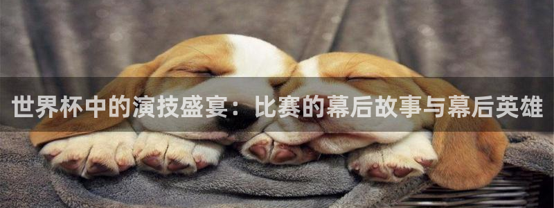 2026世界杯直播：世界杯中的演技盛宴：比赛的幕后故事与幕后英雄