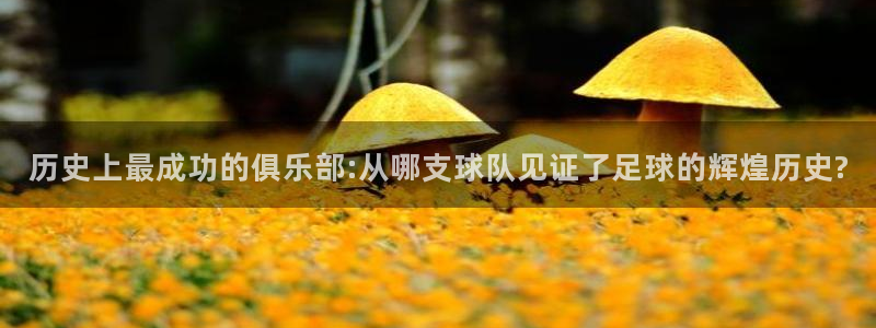 2026年世界杯直播平台：历史上最成功的俱乐部:从哪支球队见证了足球的辉煌历史?