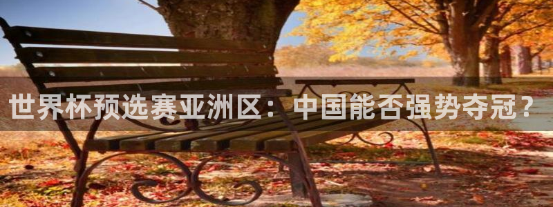 世界杯欧洲预选赛：世界杯预选赛亚洲区：中国能否强势夺冠？