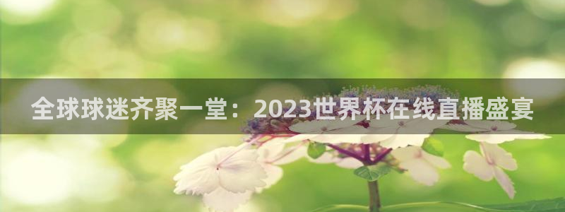 世界杯直播：全球球迷齐聚一堂：2023世界杯在线直播盛宴