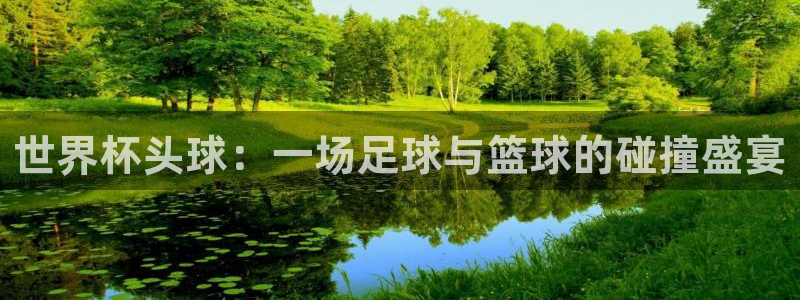 欧洲区世界杯预选赛：世界杯头球：一场足球与篮球的碰撞盛宴