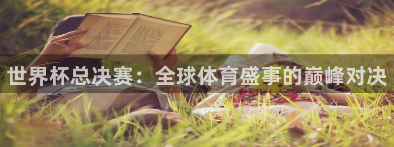 世界杯足球直播：世界杯总决赛：全球体育盛事的巅峰对决