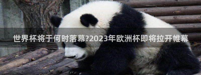 2026世界杯小组赛赛程时间表：世界杯将于何时落幕?2023年欧洲杯即将拉开帷幕