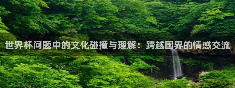 世界杯球赛：世界杯问题中的文化碰撞与理解：跨越国界的情感交流