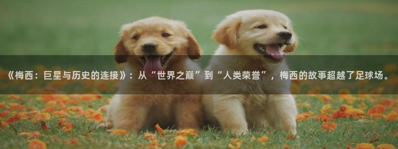 世界杯官网入口：《梅西：巨星与历史的连接》：从“世界之巅”到“人类荣誉”，梅西的故事超越了足球场。