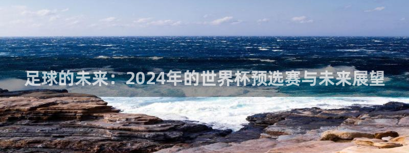 联赛杯直播：足球的未来：2024年的世界杯预选赛与未来展望