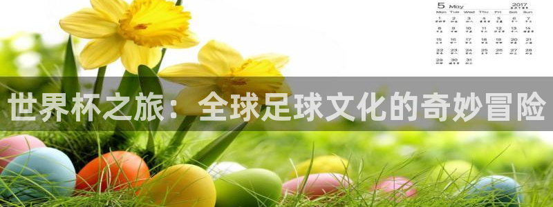 足球世界杯预选赛：世界杯之旅：全球足球文化的奇妙冒险